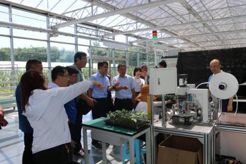 技術推廣助力曲堤黃瓜產業發展，農民增收邁上新臺階