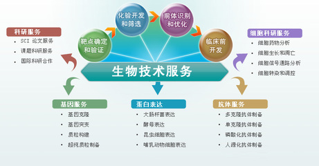 技術(shù)研發(fā)服務(wù)與技術(shù)推廣 創(chuàng)新價值鏈的雙驅(qū)動